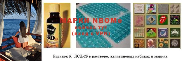 стафф Нефтегорск