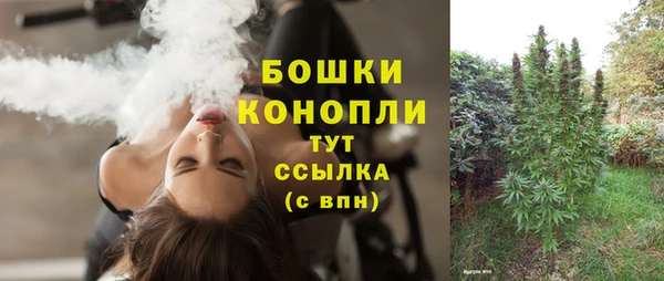 стафф Нефтегорск
