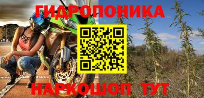 спиды Славгород