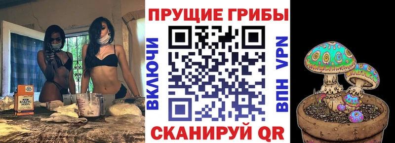 Псилоцибиновые грибы GOLDEN TEACHER  Троицк 
